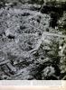The Battered Face of Germany, Page 5